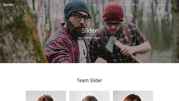 All Slider