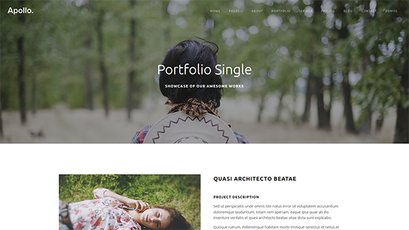 Portfolio Single