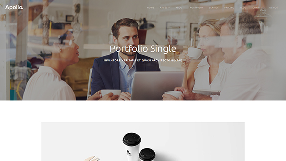Portfolio Single